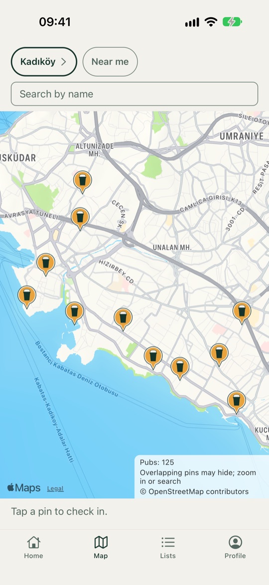 The app's map: the pubs of Kadıköy, each one a pin